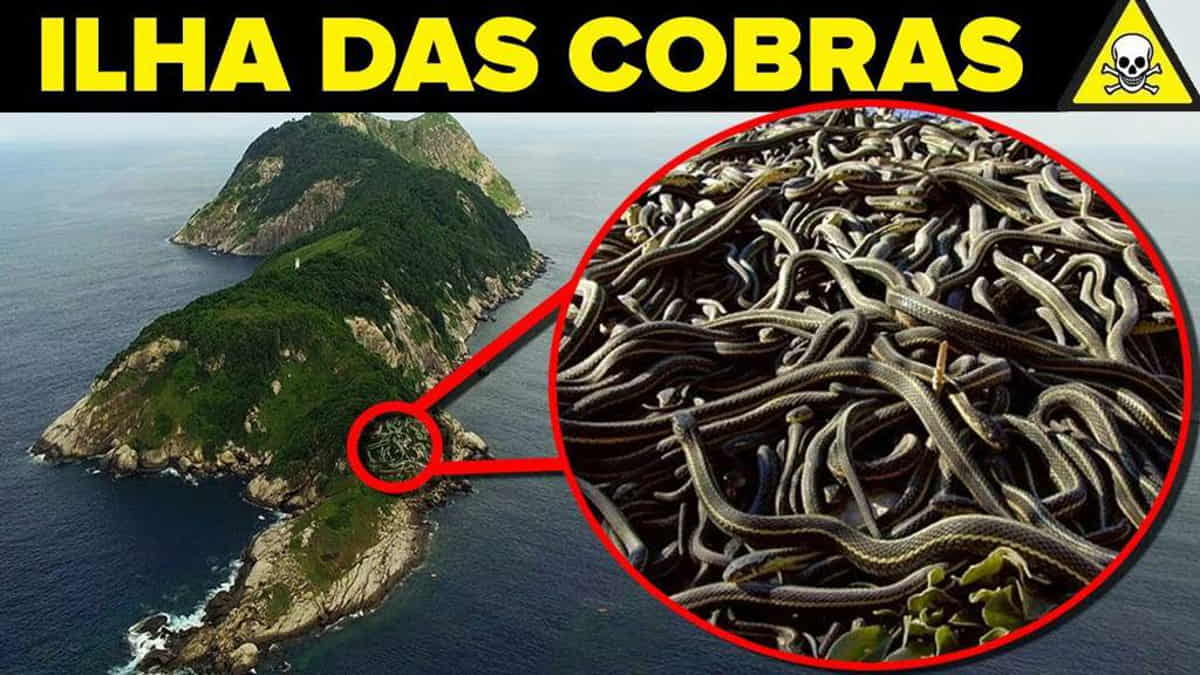 Ilha das cobras - São Paulo - um dos lugares assustadores no Brasil para quem tem medo de serpentes!